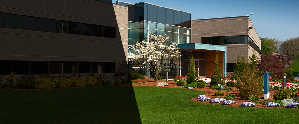 Mesquite Landscapers