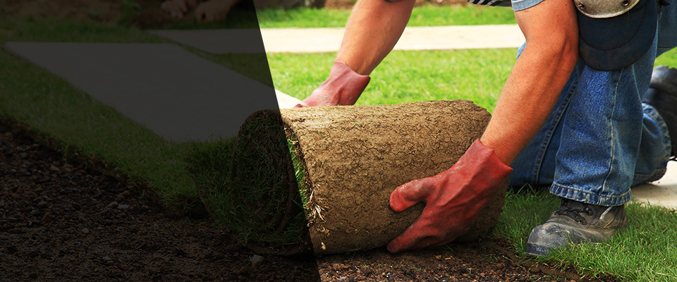 Mesquite Landscapers